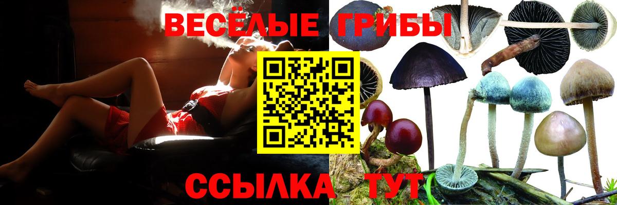 Псилоцибиновые грибы Psilocybe  Псилоцибиновые грибы мицелий  Вход с VPN  Лыткарино 